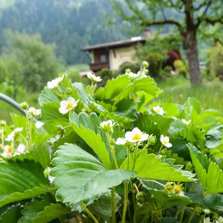 Apartament Moiklerhof, Cleaning Included Ramsau im Zillertal