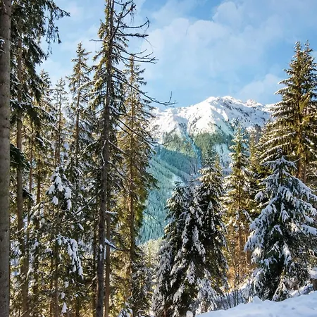 Moiklerhof, Cleaning Included Ramsau im Zillertal
